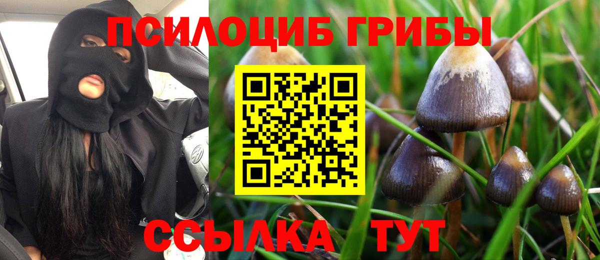 Галлюциногенные грибы мицелий  Вход с VPN  Алушта 
